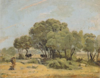 Ulivi in Spagna da Ferdinand Hodler